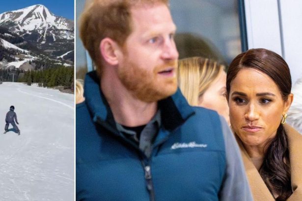 Meghan Markle Dragged Over Prince Harry Ski Video After His Saucy Reporter Texts