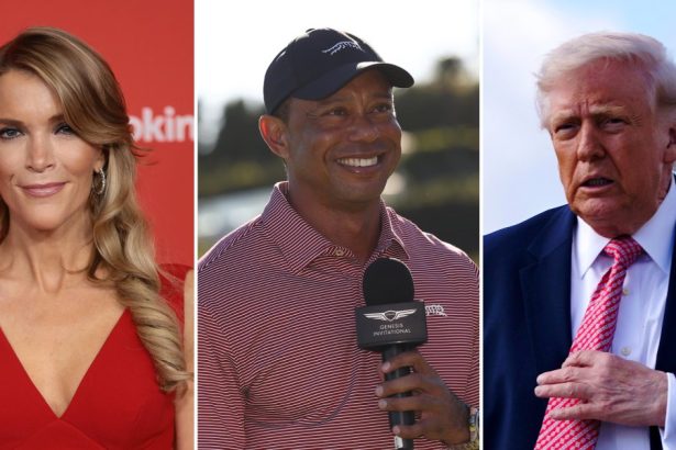 Megyn Kelly Slams Tiger Woods for Calling Trump Amid DUI