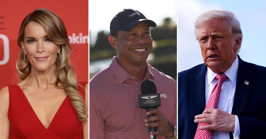 Megyn Kelly Slams Tiger Woods for Calling Trump Amid DUI