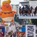 ‘No Kings’ instigators threw bottles at police horses in chaotic Los Angeles protest