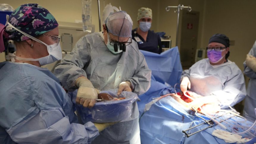 Novel approach to transplant rejection shows promise in new study