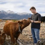 Peter Thiel’s big bet on solar-powered cow collars