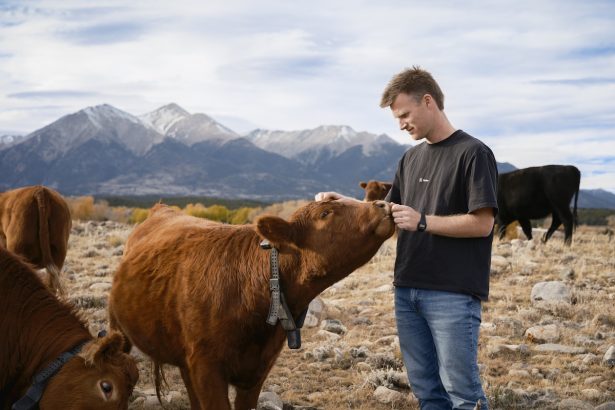 Peter Thiel’s big bet on solar-powered cow collars