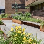 Pocket gardens: The tiny urban oases with surprisingly big benefits