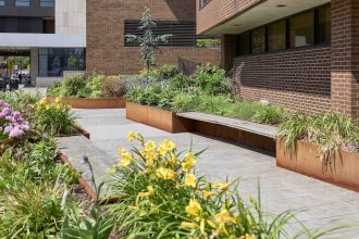 Pocket gardens: The tiny urban oases with surprisingly big benefits