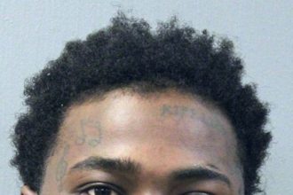 Repeat felon charged with shooting victims in Humboldt Park this year and in 2024