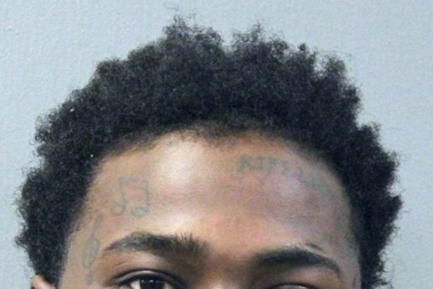 Repeat felon charged with shooting victims in Humboldt Park this year and in 2024