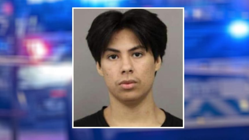 Rogers Park man gets 20-year sentence for North Side robbery sprees