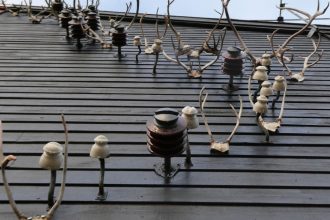 Sámi, energy and ‘green colonialism’