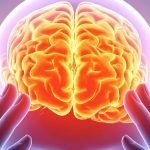 Scientists Found a Common Brain ‘Fingerprint’ Across 5 Psychedelics : ScienceAlert