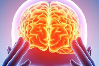 Scientists Found a Common Brain ‘Fingerprint’ Across 5 Psychedelics : ScienceAlert