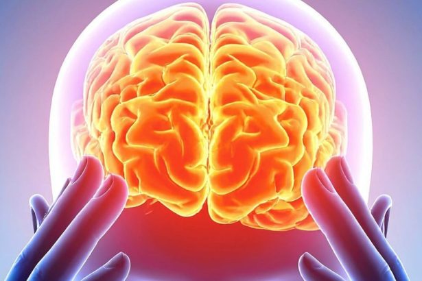 Scientists Found a Common Brain ‘Fingerprint’ Across 5 Psychedelics : ScienceAlert