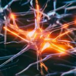 Scientists Think Vagus Nerve Stimulation Could Help Protect Your Memory : ScienceAlert