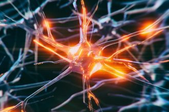 Scientists Think Vagus Nerve Stimulation Could Help Protect Your Memory : ScienceAlert