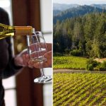 Shake up in Wine Country as Napa chiefs launch major shift
