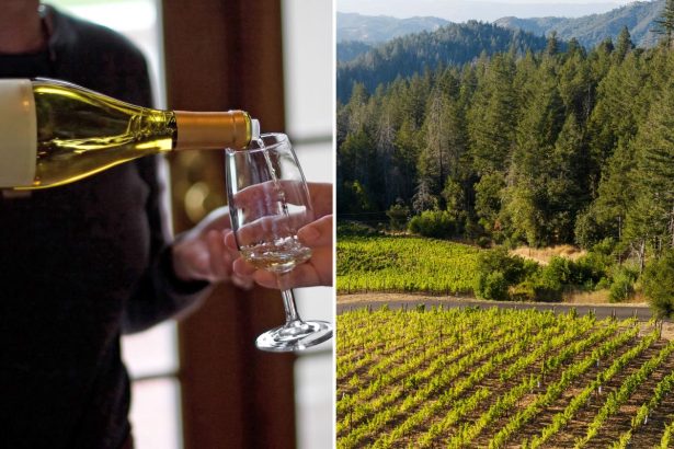Shake up in Wine Country as Napa chiefs launch major shift