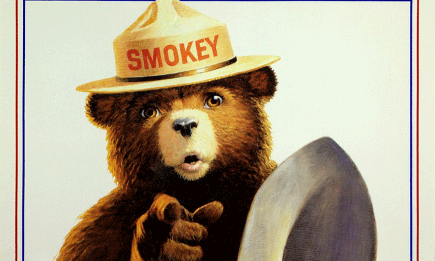 Smokey Knows: President Trump’s Forest Service Restructuring Is Bad News