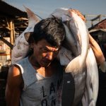 The crisis of overfishing in Southeast Asia : The Picture Show : NPR