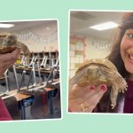 This Classroom Pet Helped a First-Year Teacher Create Community