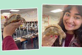 This Classroom Pet Helped a First-Year Teacher Create Community