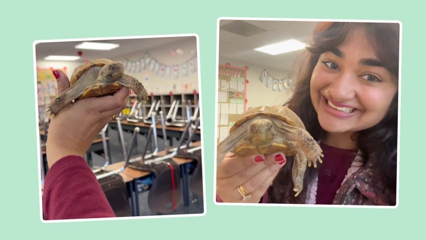 This Classroom Pet Helped a First-Year Teacher Create Community