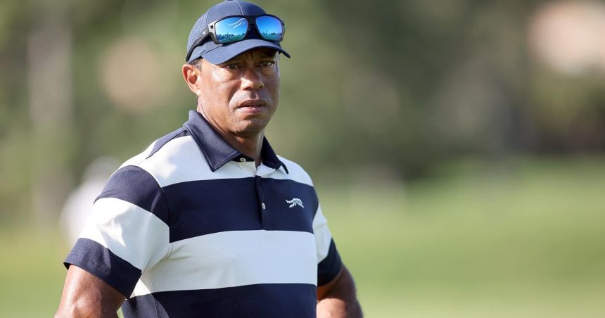 Tiger Woods’ Private Jet Lands in Switzerland Amid DUI Arrest