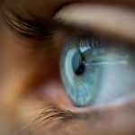 Virus from marine animals is causing weird eye problems in people