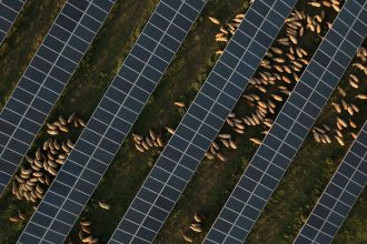 Waaree subsidiary begins operations at 3GW facility in Gujarat, India