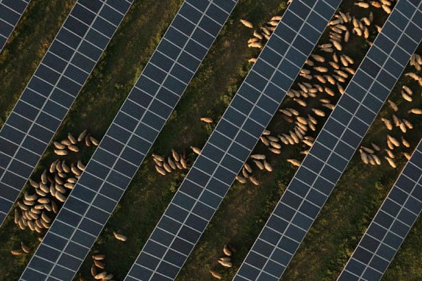 Waaree subsidiary begins operations at 3GW facility in Gujarat, India