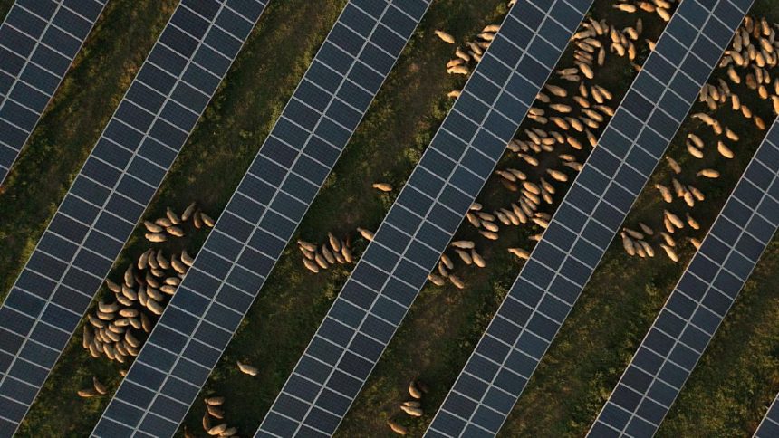 Waaree subsidiary begins operations at 3GW facility in Gujarat, India