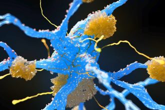 Weight-Loss Drugs May Reduce Buildup of Alzheimer’s Proteins, Major Review Finds : ScienceAlert