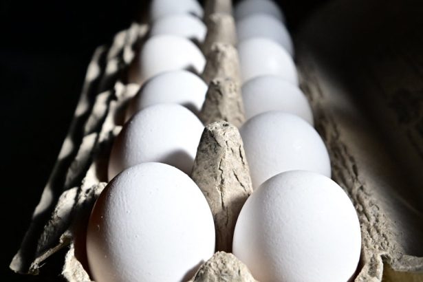 Why Experts Say Viral Frozen Egg TikTok Trend Is Dangerous