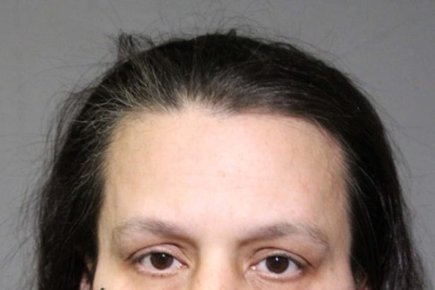 Wicker Park mail thief has long history of burglaries, officials say