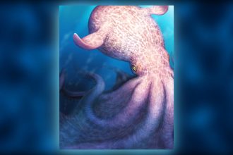 ‘Kraken’ fossils show enormous, intelligent octopuses were top predators in Cretaceous seas