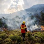 2026 will be the hottest year on record, leading scientist predicts