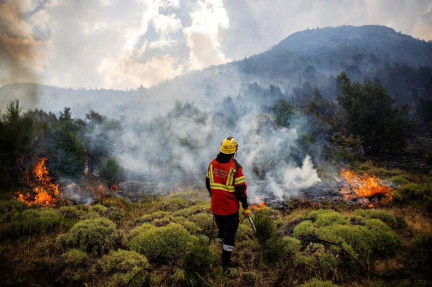 2026 will be the hottest year on record, leading scientist predicts