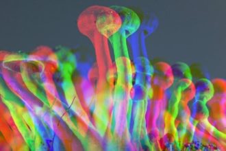 A Single Dose of Psilocybin Could Ease Depression For Months, New Study Finds : ScienceAlert