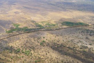 A new tectonic plate boundary could be forming in southern Africa