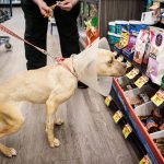 Another pet supplies store operator files Chapter 11 bankruptcy