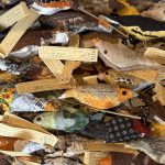 Around North America, Community Members Are Stitching Nearly 11,000 Birds — Colossal