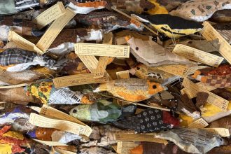 Around North America, Community Members Are Stitching Nearly 11,000 Birds — Colossal