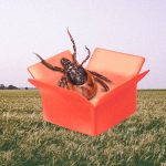 As tick bites surge, conspiracy theories follow