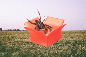 As tick bites surge, conspiracy theories follow