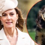 ‘Broody’ Future Queen Catherine Recruits New ‘Comfort Pet’