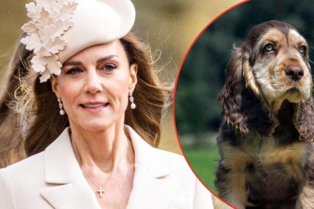 ‘Broody’ Future Queen Catherine Recruits New ‘Comfort Pet’