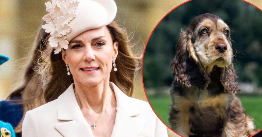 ‘Broody’ Future Queen Catherine Recruits New ‘Comfort Pet’
