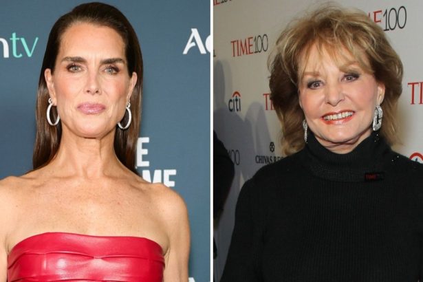 Brooke Shields Recalls Barbara Walters Asking Her Measurements