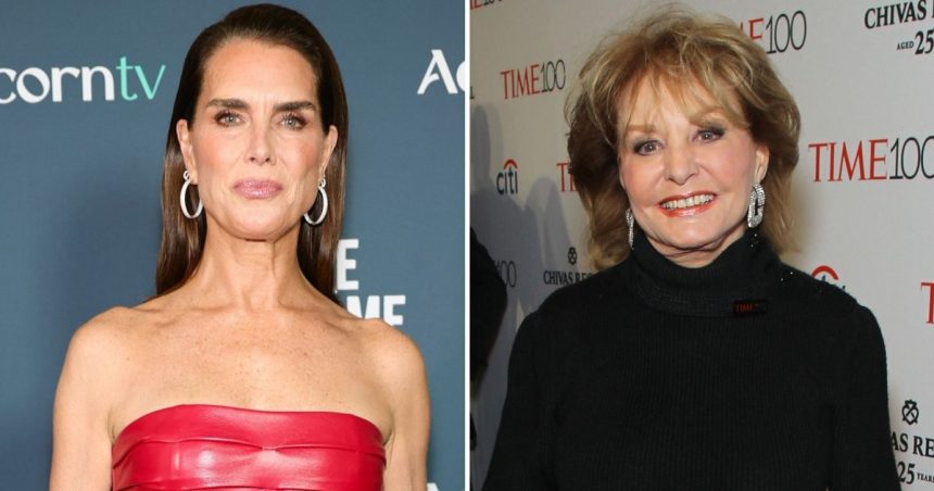 Brooke Shields Recalls Barbara Walters Asking Her Measurements