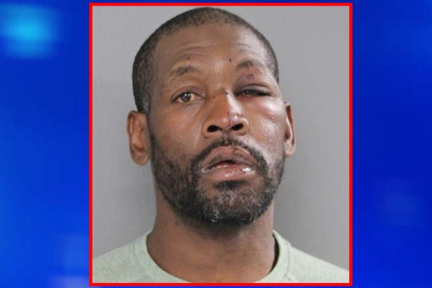 Bystanders beat man and hurled him onto Blue Line tracks after he pushed woman from platform, police say