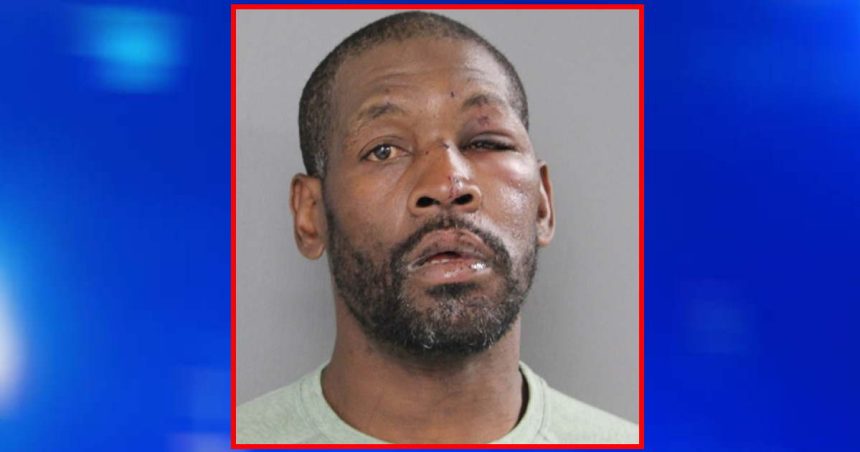 Bystanders beat man and hurled him onto Blue Line tracks after he pushed woman from platform, police say